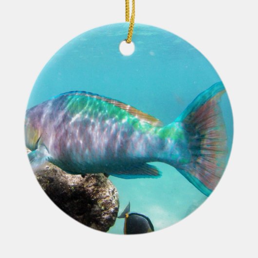 Hawaii Parrot Fish Keramisch Ornament (Voorkant)