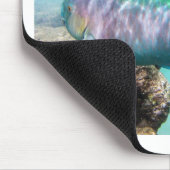 Hawaii Parrot Fish Muismat (Hoek)