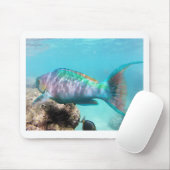Hawaii Parrot Fish Muismat (Met muis)