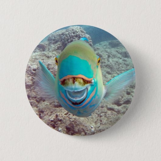 Hawaii Parrot Fish Ronde Button 5,7 Cm (Voorkant)