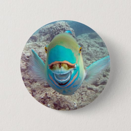 Hawaii Parrot Fish Ronde Button 5,7 Cm (Voorkant)