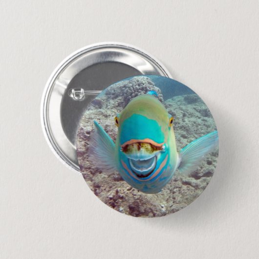 Hawaii Parrot Fish Ronde Button 5,7 Cm (Voorkant /achterkant)
