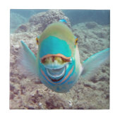 Hawaii Parrot Fish Tegeltje (Voorkant)