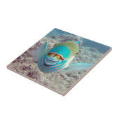 Hawaii Parrot Fish Tegeltje (Zijkant)