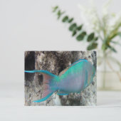 Hawaii Parrot Fish - Uhu Briefkaart (Staand voorkant)