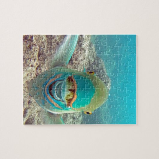 Hawaii Parrot Fish - Uhu Legpuzzel (Horizontaal)