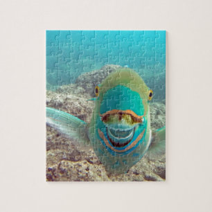 Hawaii Parrot Fish - Uhu Legpuzzel