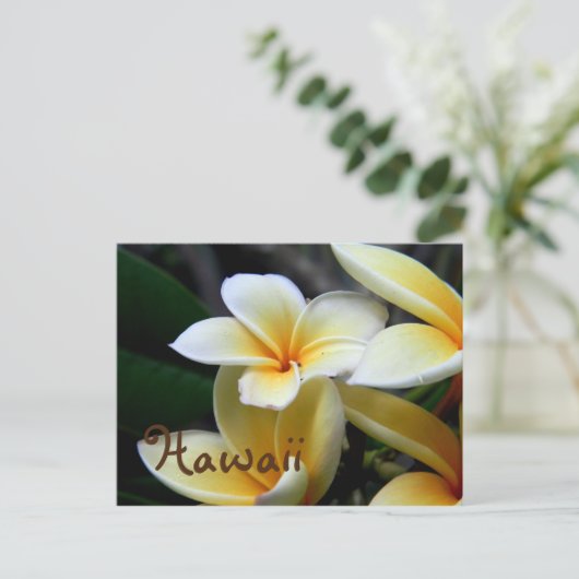 Hawaii Plumeria Briefkaart (Staand voorkant)