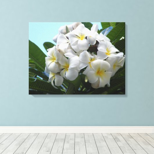 Hawaii Plumeria Canvas Afdruk (Insitu (Houten vloer))