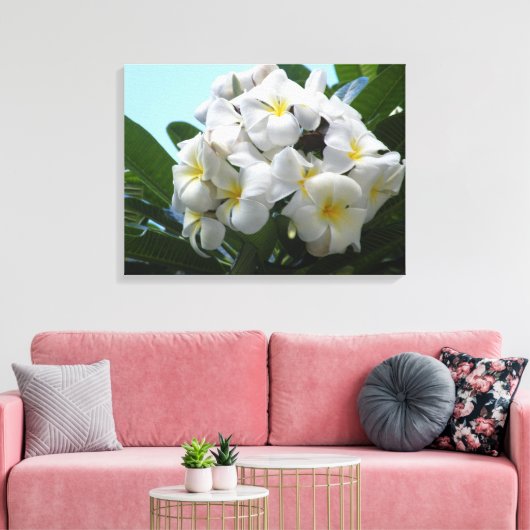 Hawaii Plumeria Canvas Afdruk (Insitu (Woonkamer))
