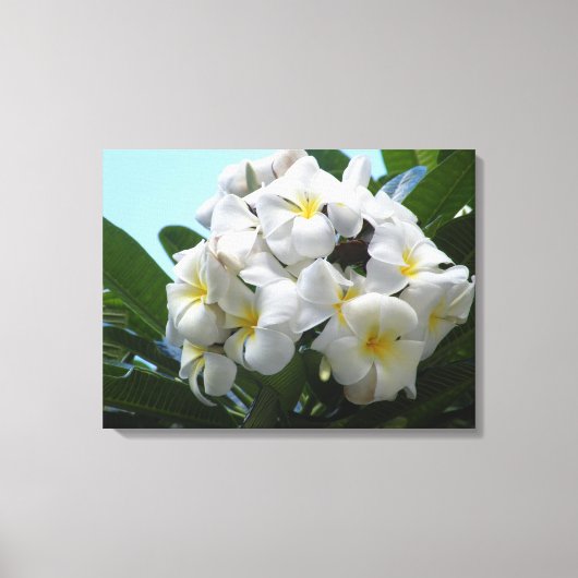 Hawaii Plumeria Canvas Afdruk (Voorkant)