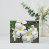 Hawaii Plumeria Flowers Briefkaart (Staand voorkant)