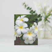 Hawaii Plumeria Flowers Briefkaart (Staand voorkant)