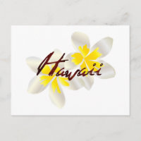 Hawaii Plumeria Flowers