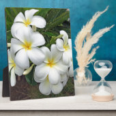 Hawaii Plumeria Flowers Fotoplaat (Zijkant)