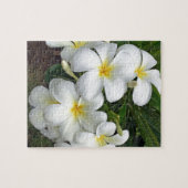Hawaii Plumeria Flowers Legpuzzel (Horizontaal)