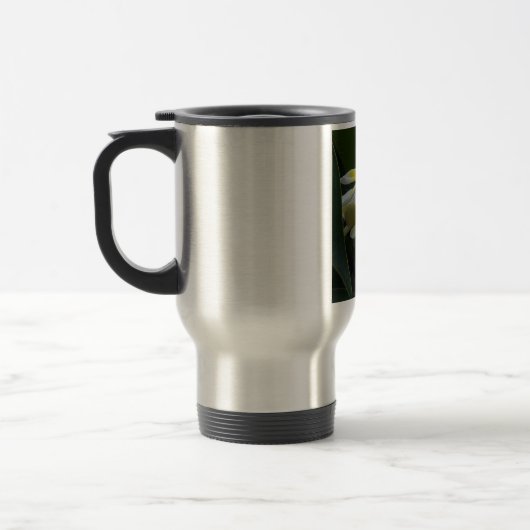 Hawaii Plumeria Flowers Reisbeker (Links)