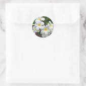 Hawaii Plumeria Flowers Ronde Sticker (Tas)