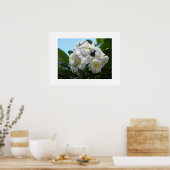 Hawaii Plumeria Poster (Keuken)