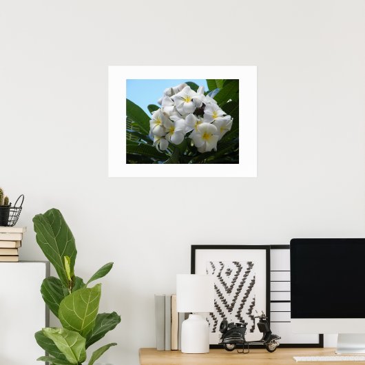 Hawaii Plumeria Poster (Thuiskantoor)