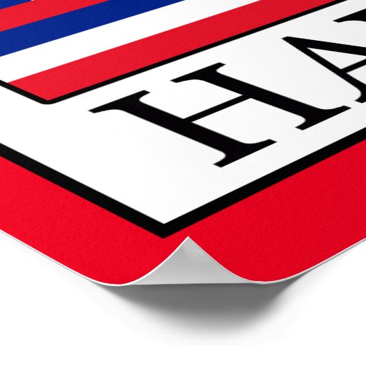 Hawaii Poster (Hoek)