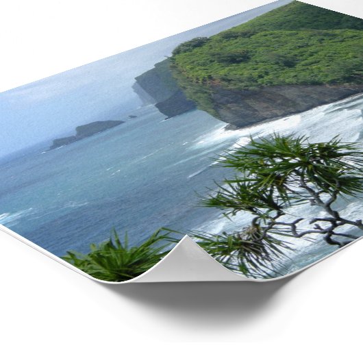 Hawaii Poster (Hoek)