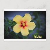hawaii postkaart met de hawaii state flower . (Voorkant)