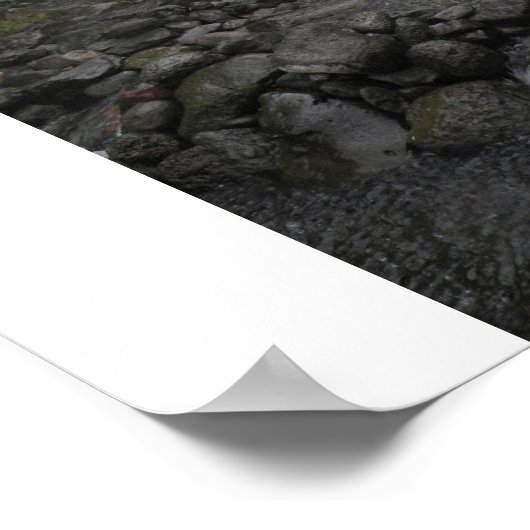 Hawaii Rain Poster (Hoek)