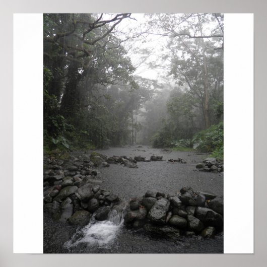 Hawaii Rain Poster (Voorkant)