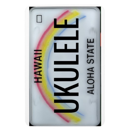 Hawaii Rainbow License Bord Magneet (Verticaal)