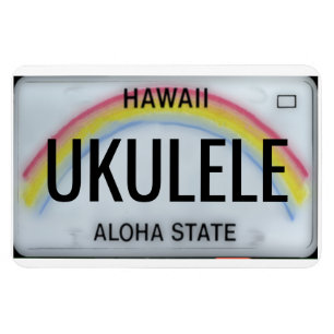 Hawaii Rainbow-licentie - Flexibel Bord Magneet