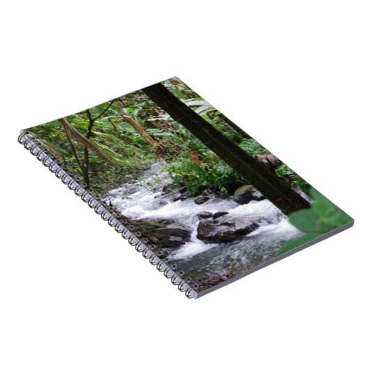 Hawaii regenwoud notitieboek (Rechterzijde)