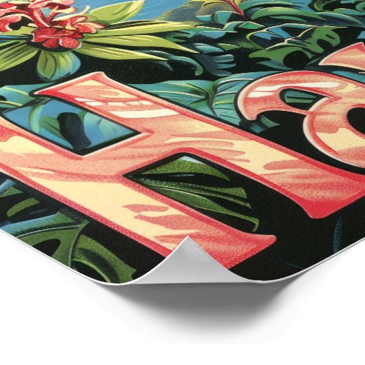 Hawaii Reizen Poster Art Print Poster (Hoek)