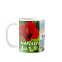 Hawaii Rode Hibiscus 4 Foto Familienaam Reis