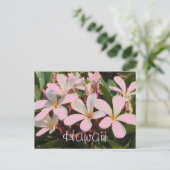 Hawaii roze plumeria bloem briefkaart (Staand voorkant)