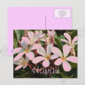 Hawaii roze plumeria bloem briefkaart (Voorkant / Achterkant)