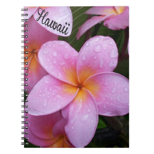 Hawaii Roze Plumeria Bloemen Notitieboek (Voorkant)