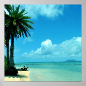 Hawaii Schilderachtig Tropisch strand Poster (Voorkant)