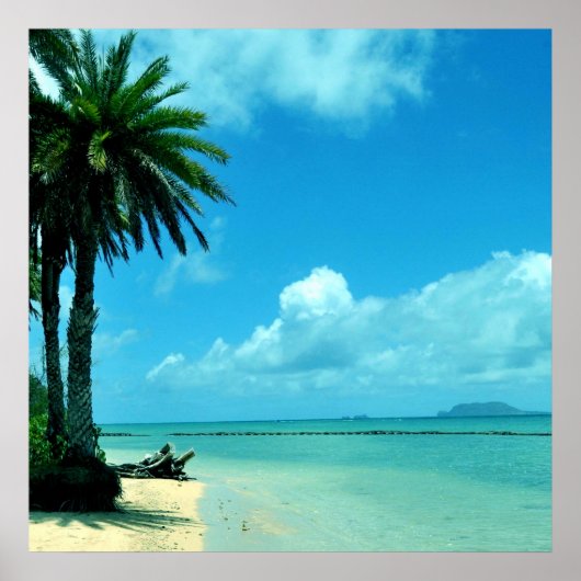 Hawaii Schilderachtig Tropisch strand Poster (Voorkant)