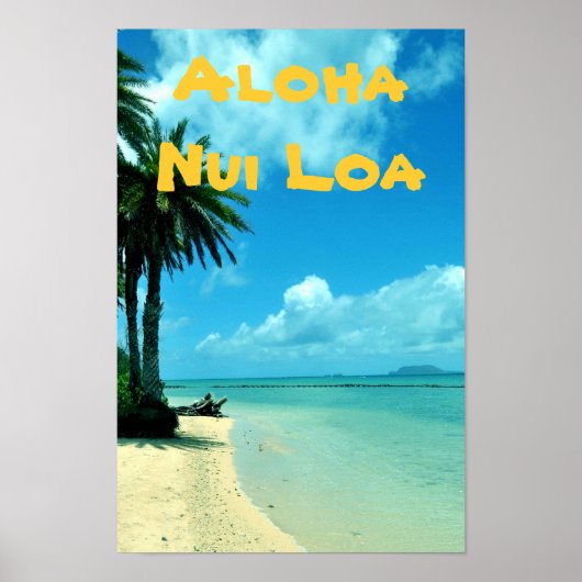 Hawaii Schilderachtig Tropisch strand Poster (Voorkant)