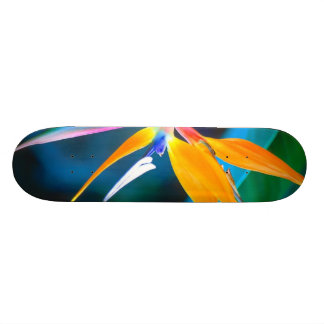hawaii-skateboard van het paradijs persoonlijk skateboard