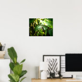 Hawaii spinnenweb poster (Thuiskantoor)