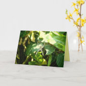 Hawaii spinnenweb wenskaart kaart (Gele Bloem)