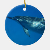 Hawaii Spinner Dolphin Keramisch Ornament (Voorkant)