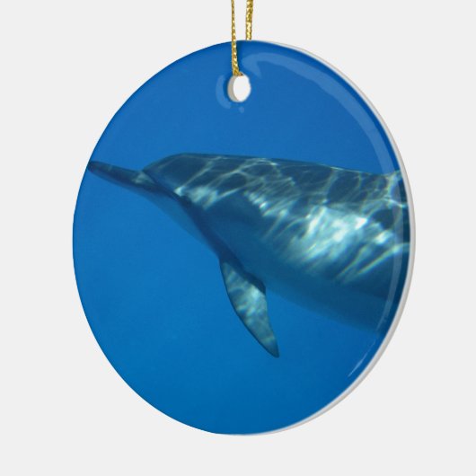 Hawaii Spinner Dolphin Keramisch Ornament (Links)