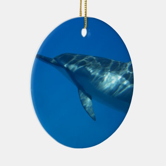 Hawaii Spinner Dolphin Keramisch Ornament (Rechts)