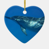 Hawaii Spinner Dolphin Keramisch Ornament (Voorkant)