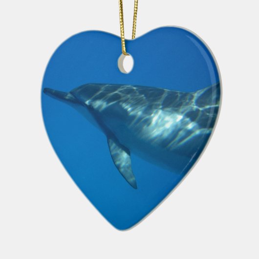 Hawaii Spinner Dolphin Keramisch Ornament (Links)