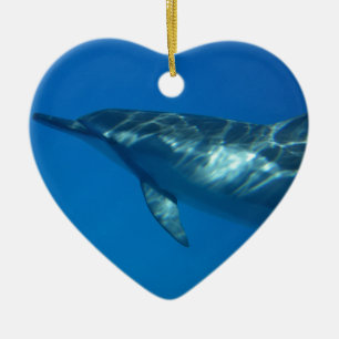 Hawaii Spinner Dolphin Keramisch Ornament
