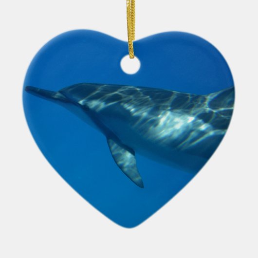 Hawaii Spinner Dolphin Keramisch Ornament (Voorkant)